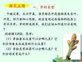 2021-2022学年初中生物 济南版 八年级上册 4.1.6 芽的类型和发育（第一课时） 同步课件