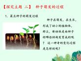 种子的萌发PPT课件免费下载