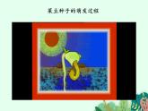 种子的萌发PPT课件免费下载