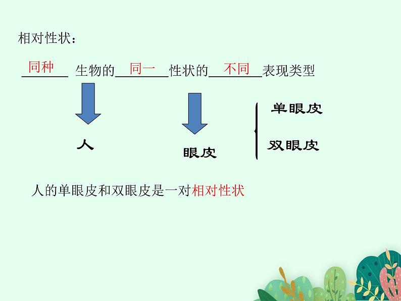 性状的遗传PPT课件免费下载05