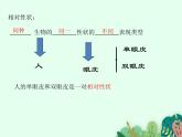 性状的遗传PPT课件免费下载