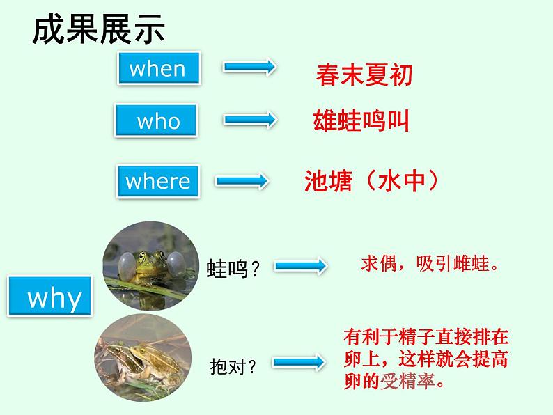 两栖动物的生殖和发育PPT课件免费下载04