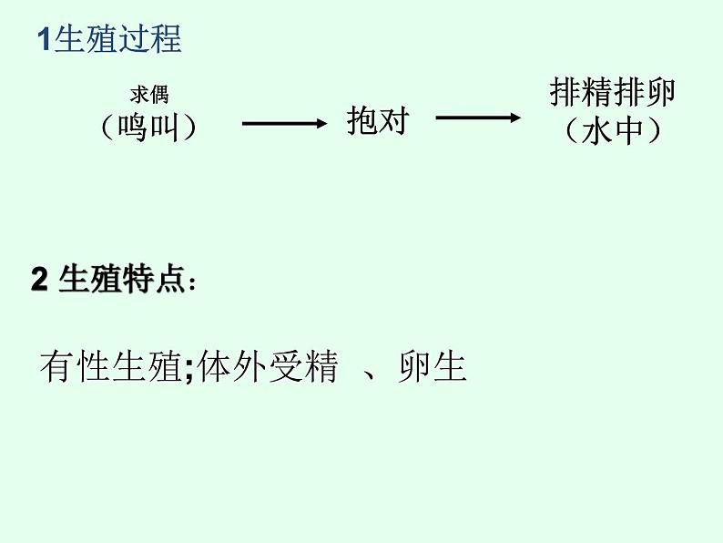 两栖动物的生殖和发育PPT课件免费下载05