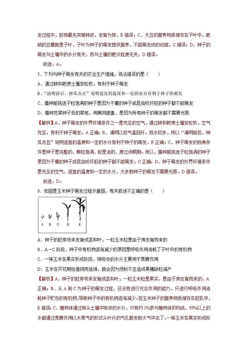 2021-2022学年初中生物济南版 八年级上册 4.1.4 种子的萌发 同步练习02