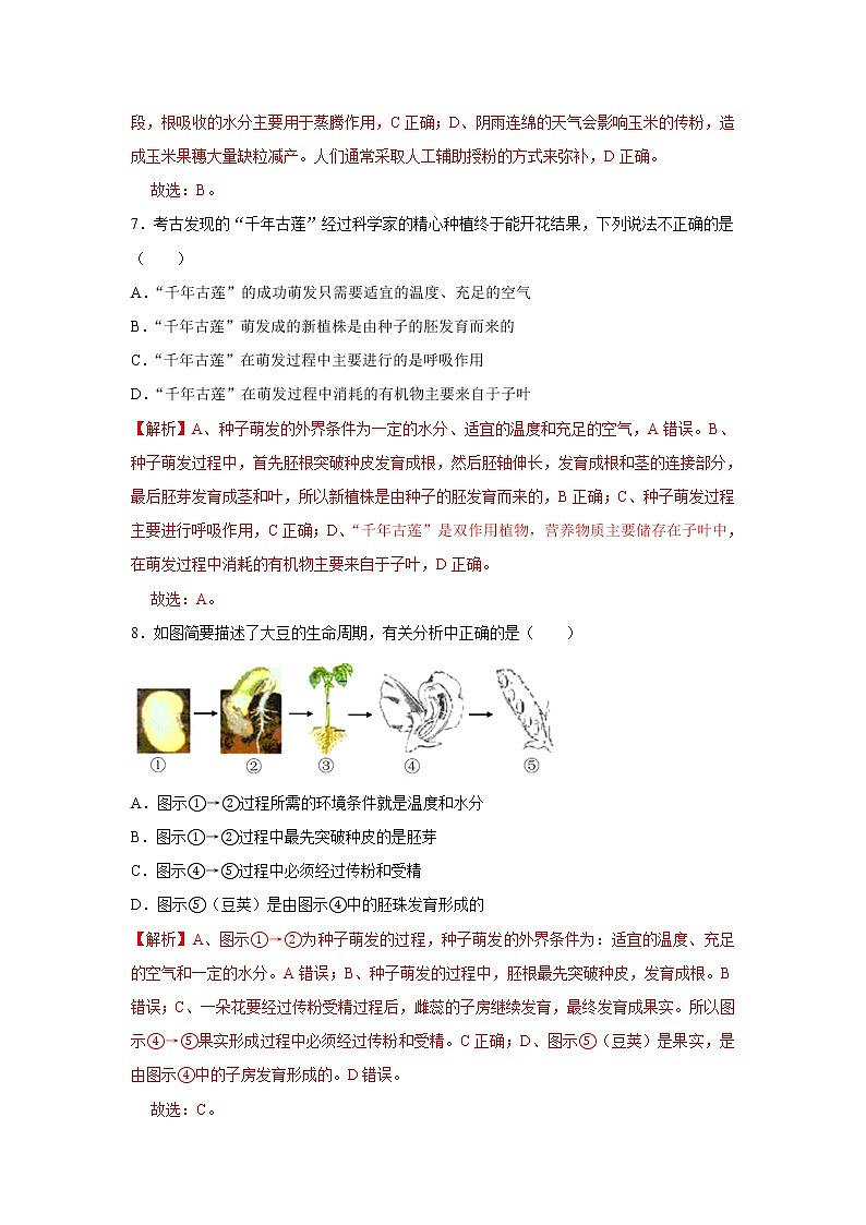 2021-2022学年初中生物济南版 八年级上册 4.1.4 种子的萌发 同步练习03