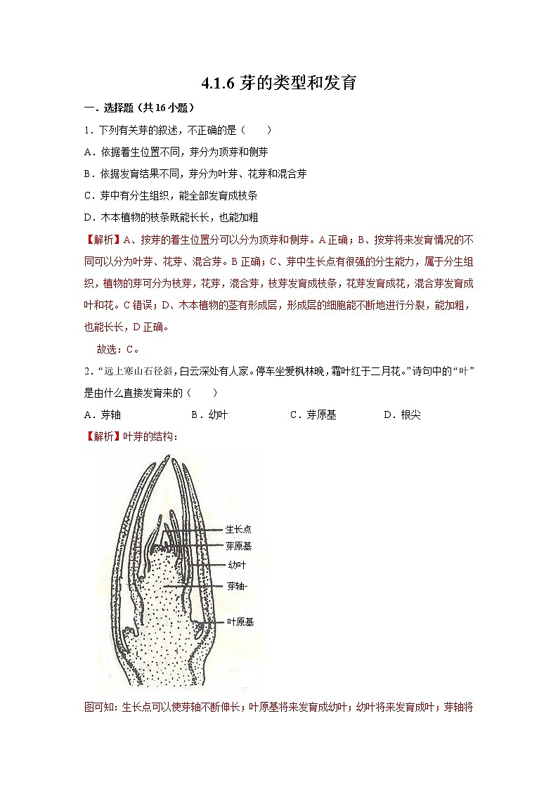 2021-2022学年初中生物济南版 八年级上册 4.1.6 芽的类型和发育 同步练习01