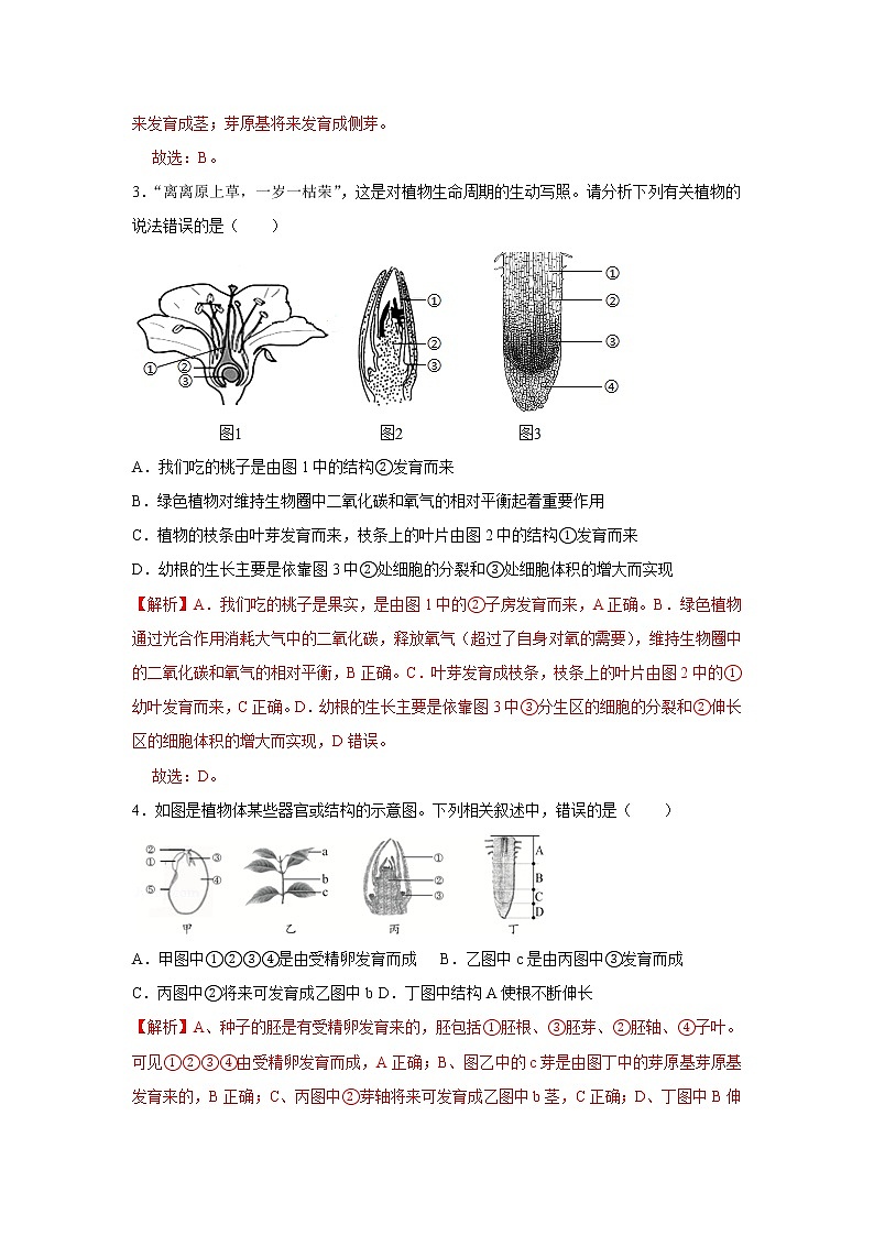 2021-2022学年初中生物济南版 八年级上册 4.1.6 芽的类型和发育 同步练习02