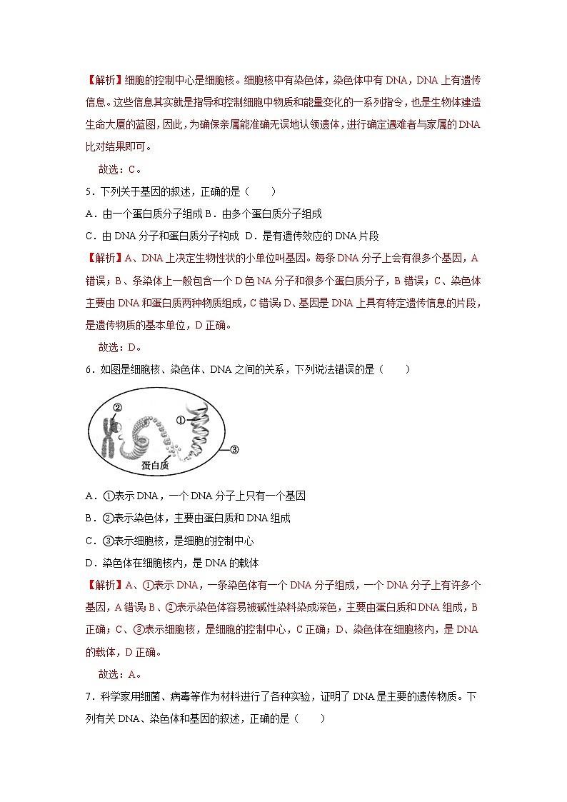 2021-2022学年初中生物济南版 八年级上册 4.4.1 遗传的物质基础 同步练习02