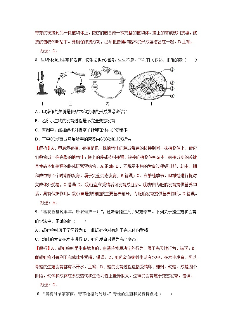 2021-2022学年初中生物济南版 八年级上册 4.2.2 两栖动物的生殖和发育 同步练习03