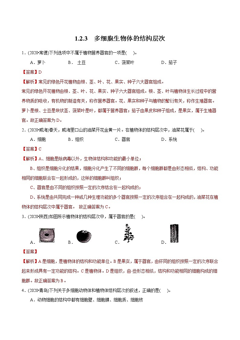 2021-2022学年初中生物济南版 七年级上册 1.2.3 多细胞生物体的结构层次 同步练习01