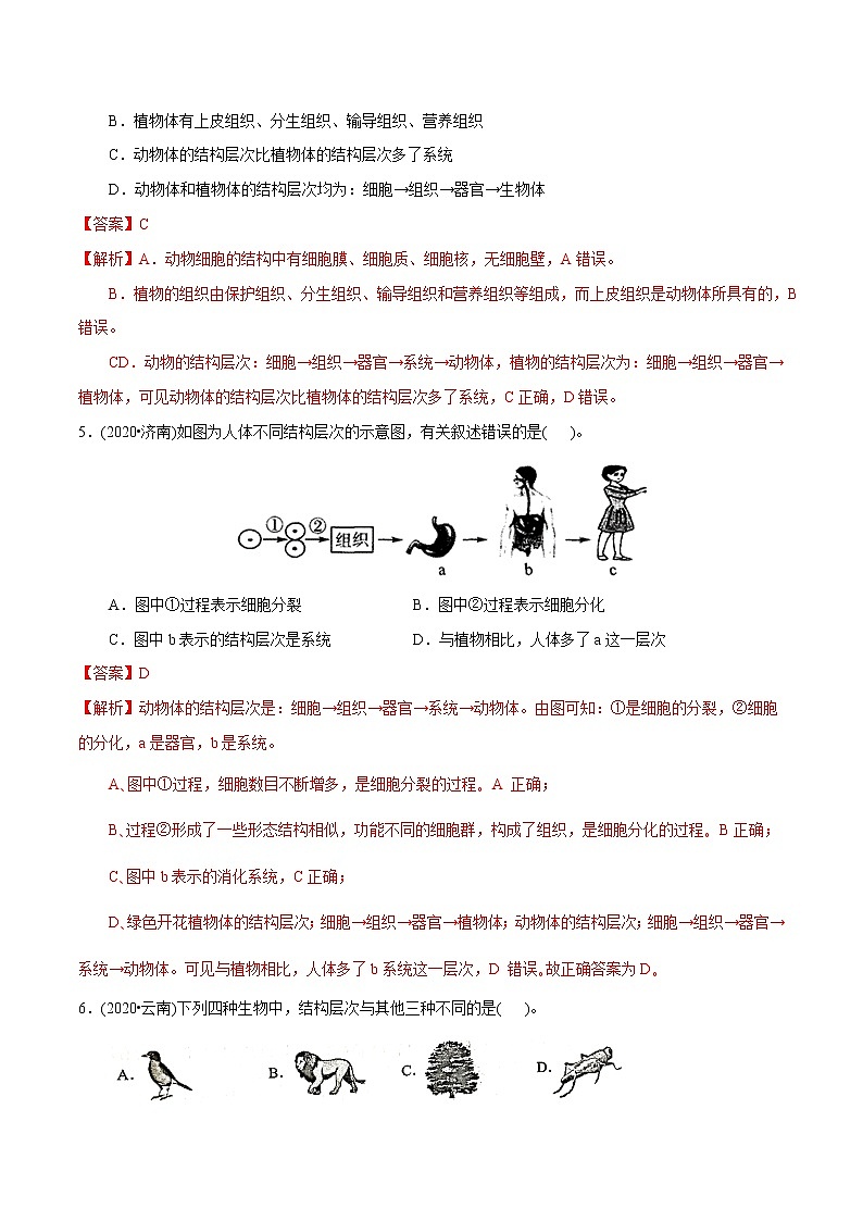 2021-2022学年初中生物济南版 七年级上册 1.2.3 多细胞生物体的结构层次 同步练习02