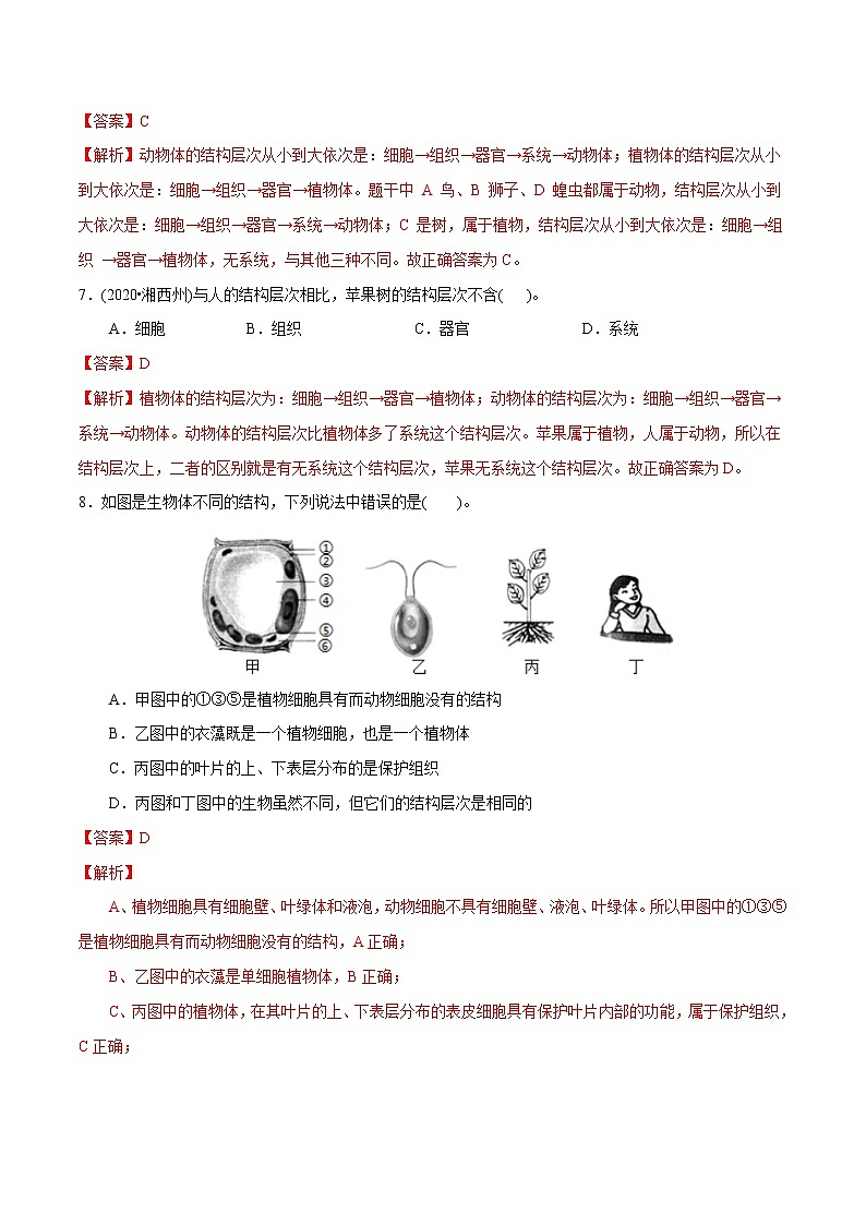 2021-2022学年初中生物济南版 七年级上册 1.2.3 多细胞生物体的结构层次 同步练习03