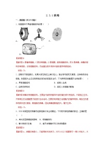 初中生物济南版七年级上册第一节 病毒课时作业