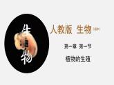 初中生物人教版八年级下册 7.1.1 植物的生殖（课件）(共35张PPT)