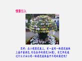 初中生物人教版八年级下册 7.1.1 植物的生殖（课件）(共35张PPT)
