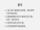 初中生物人教版八年级下册 7.1.1 植物的生殖（课件）(共35张PPT)