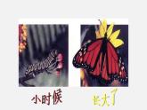 初中生物人教版八年级下册 7.1.2 昆虫的生殖和发育（课件）(共22张PPT)