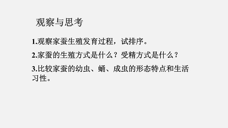 初中生物人教版八年级下册 7.1.2 昆虫的生殖和发育（课件）(共22张PPT)第5页