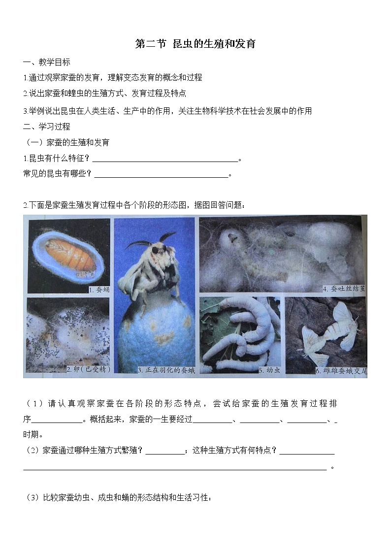 初中生物人教版八年级下册 7.1.2 昆虫的生殖和发育（学案）01