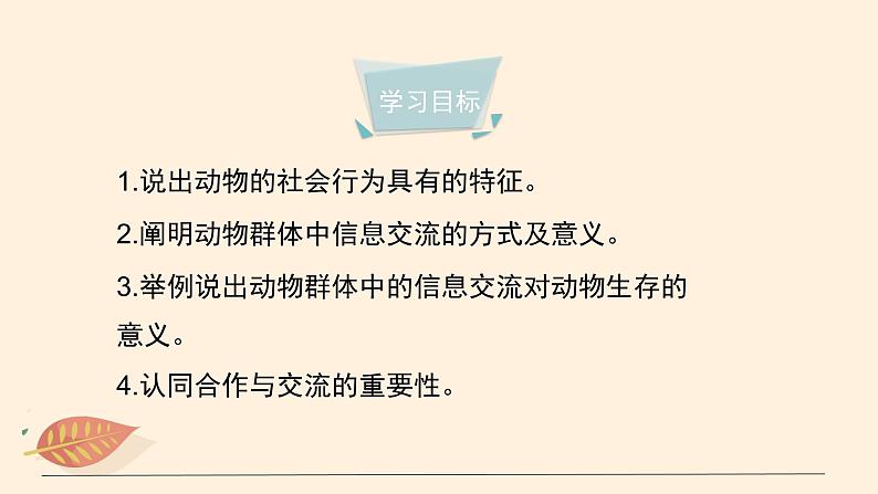 7.2.3 社会行为 课件 初中生物鲁科版（五四制） 八年级上册（2021年）04