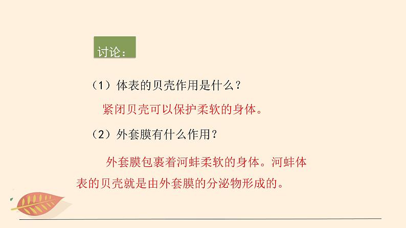 7.1.3 软体动物和节肢动物（课时1）课件 初中生物鲁科版（五四制） 八年级上册（2021年）08