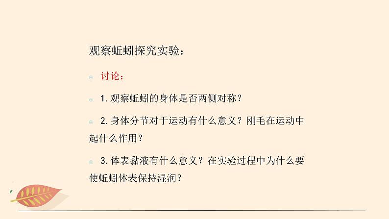 7.1.2 线形动物和环节动物（课时1）课件 初中生物鲁科版（五四制） 八年级上册（2021年）07