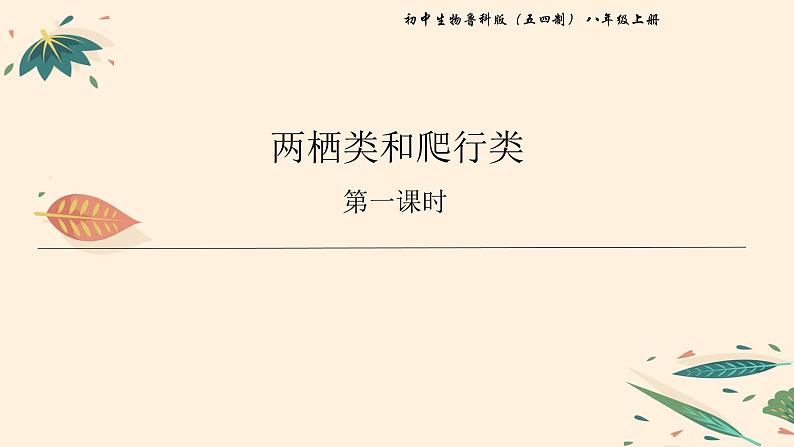 7.1.5 两栖类和爬行类（课时1）课件 初中生物鲁科版（五四制） 八年级上册（2021年）01