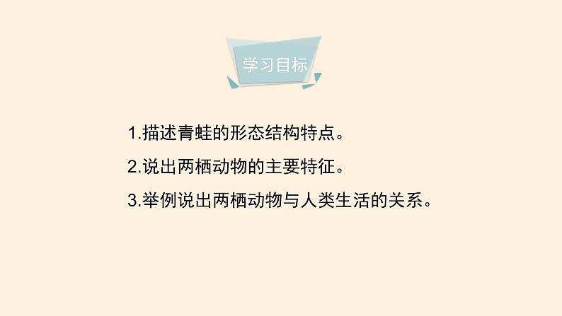 7.1.5 两栖类和爬行类（课时1）课件 初中生物鲁科版（五四制） 八年级上册（2021年）04