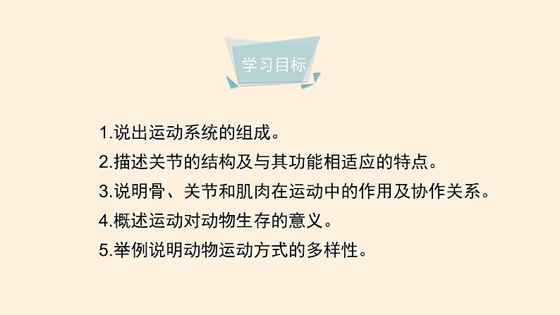 7.2.1 动物的运动 课件 初中生物鲁科版（五四制） 八年级上册（2021年）04