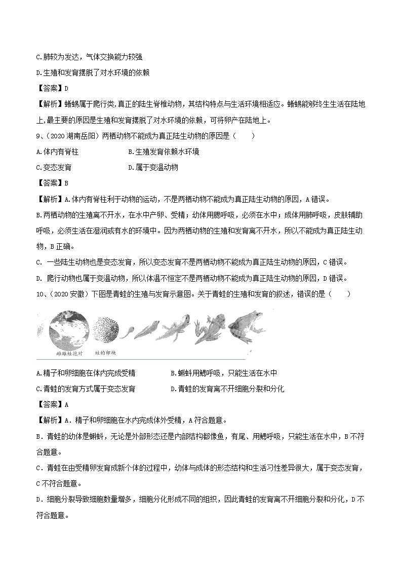 2021-2022学年初中生物鲁科版（五四学制）八年级上册 7.1.5 两栖类和爬行类 同步练习第3页