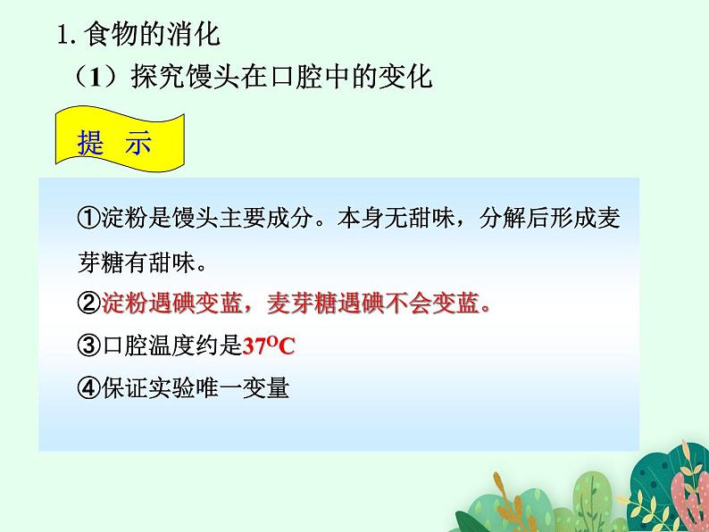 2021-2022学年初中生物鲁科版（五四制） 七年级上册 4.2.2 消化和吸收  课件03