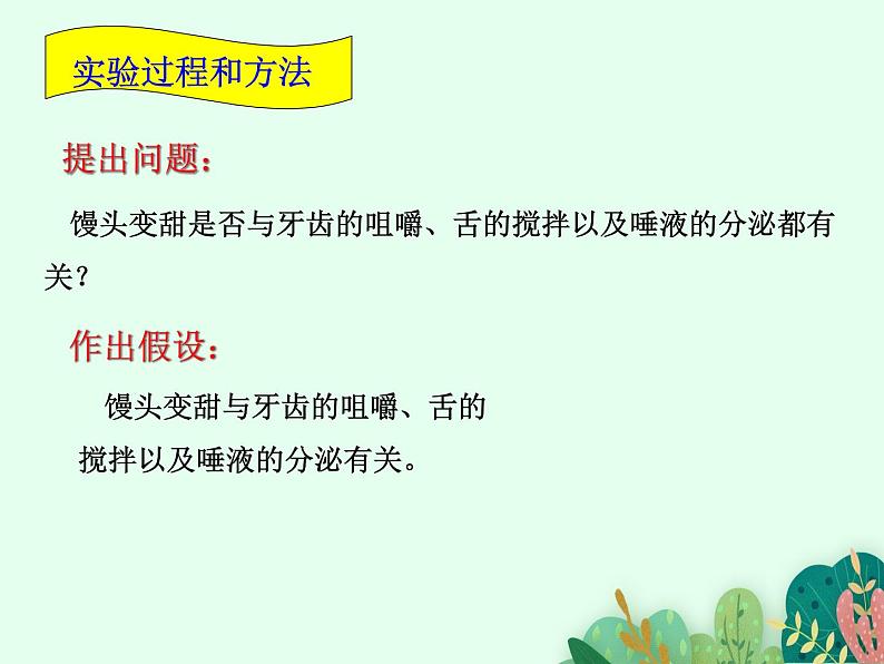 2021-2022学年初中生物鲁科版（五四制） 七年级上册 4.2.2 消化和吸收  课件04