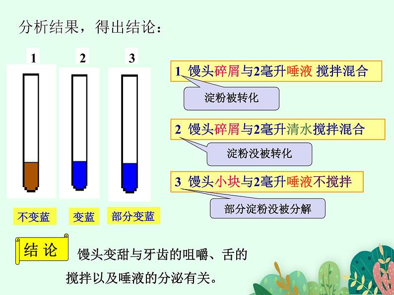 2021-2022学年初中生物鲁科版（五四制） 七年级上册 4.2.2 消化和吸收  课件06