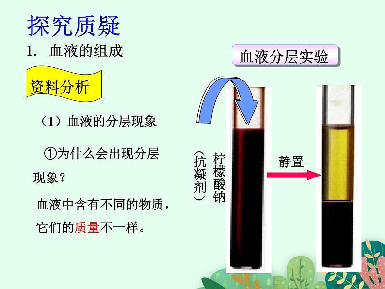 物质运输的载体PPT课件免费下载03