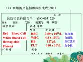 物质运输的载体PPT课件免费下载