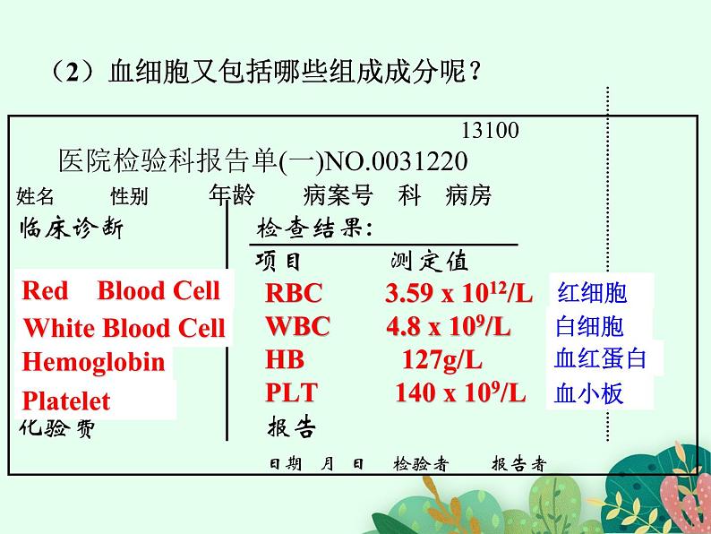 物质运输的载体PPT课件免费下载05