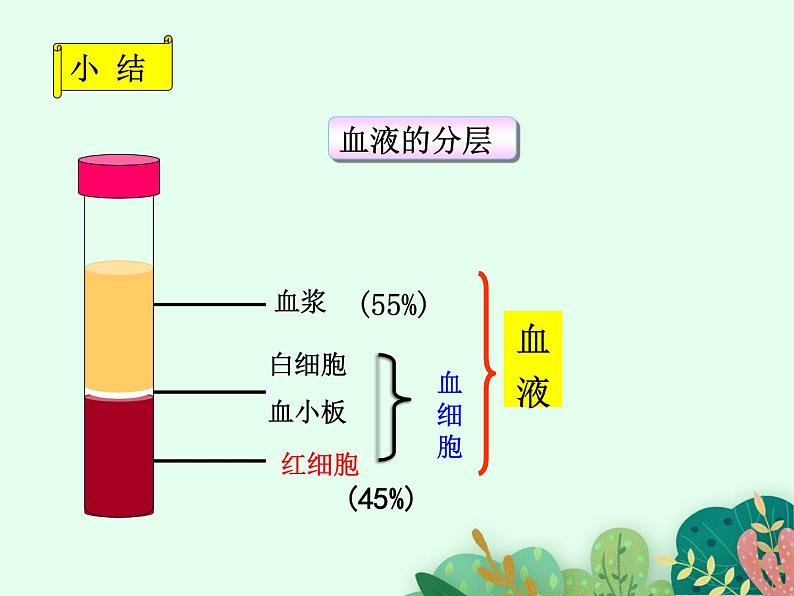 物质运输的载体PPT课件免费下载06