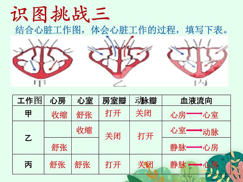 2021-2022学年初中生物鲁科版（五四制） 七年级上册 4.4.3 物质运输的途径 课件第7页