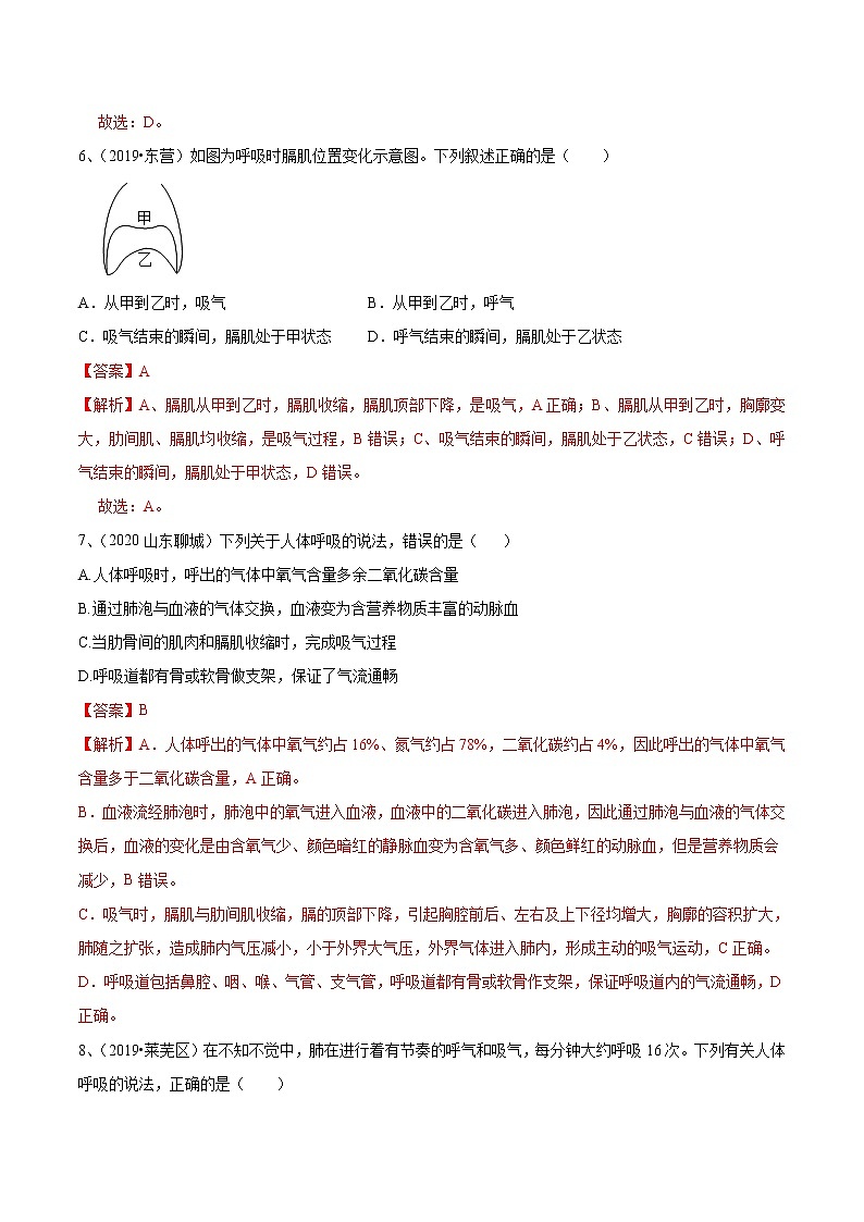 2020-2021学年初中生物鲁科版（五四学制）七年级上册 4.3.2 发生在肺内的气体交换 同步练习第3页