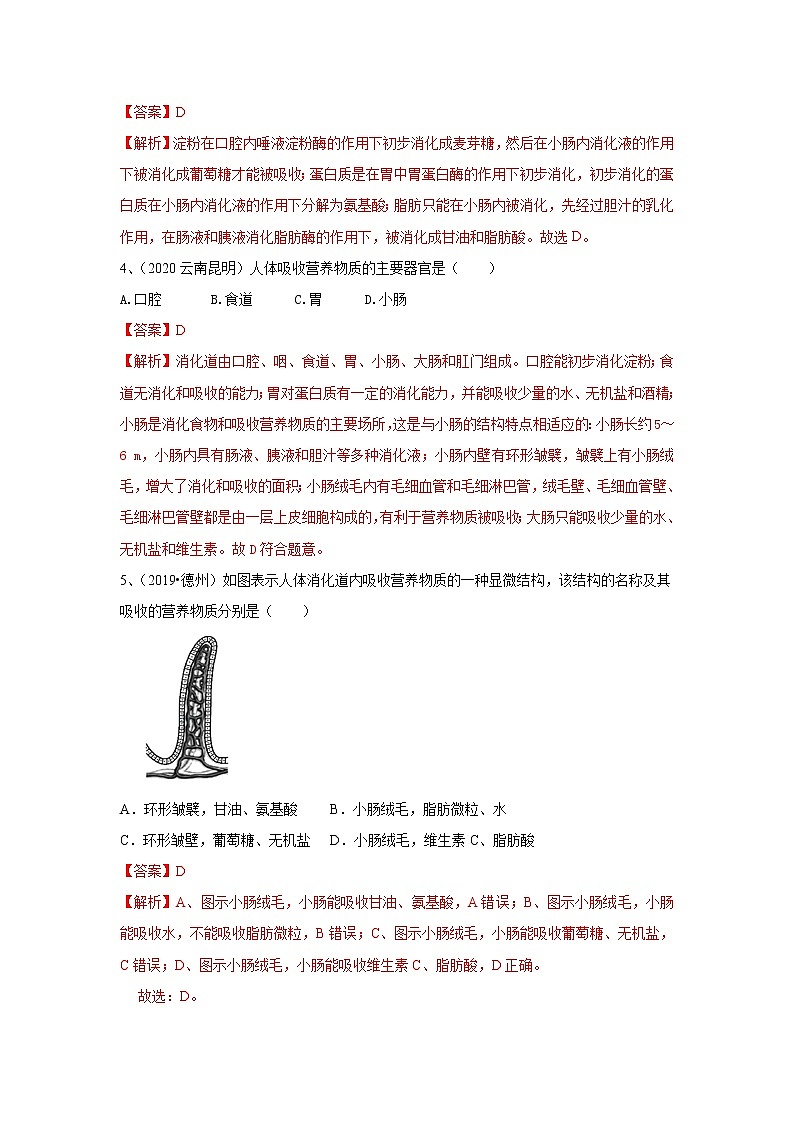 2020-2021学年初中生物鲁科版（五四学制）七年级上册 4.2.2 消化和吸收 同步练习第2页