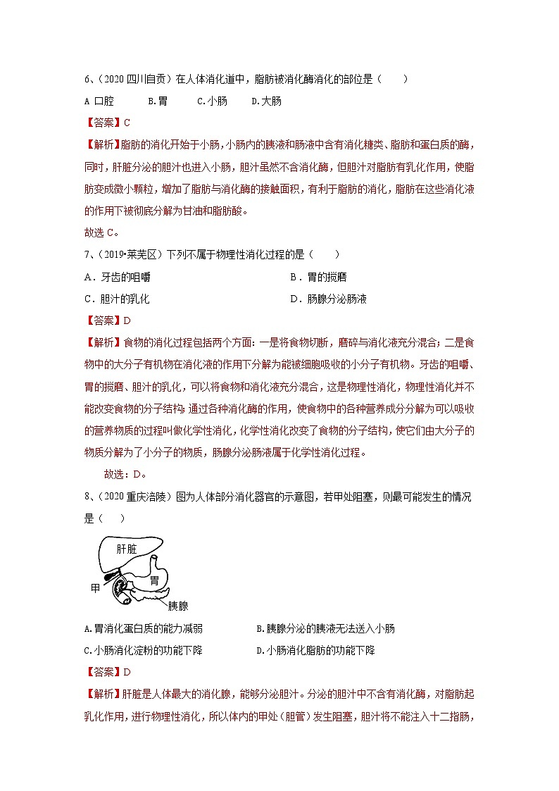 2020-2021学年初中生物鲁科版（五四学制）七年级上册 4.2.2 消化和吸收 同步练习第3页