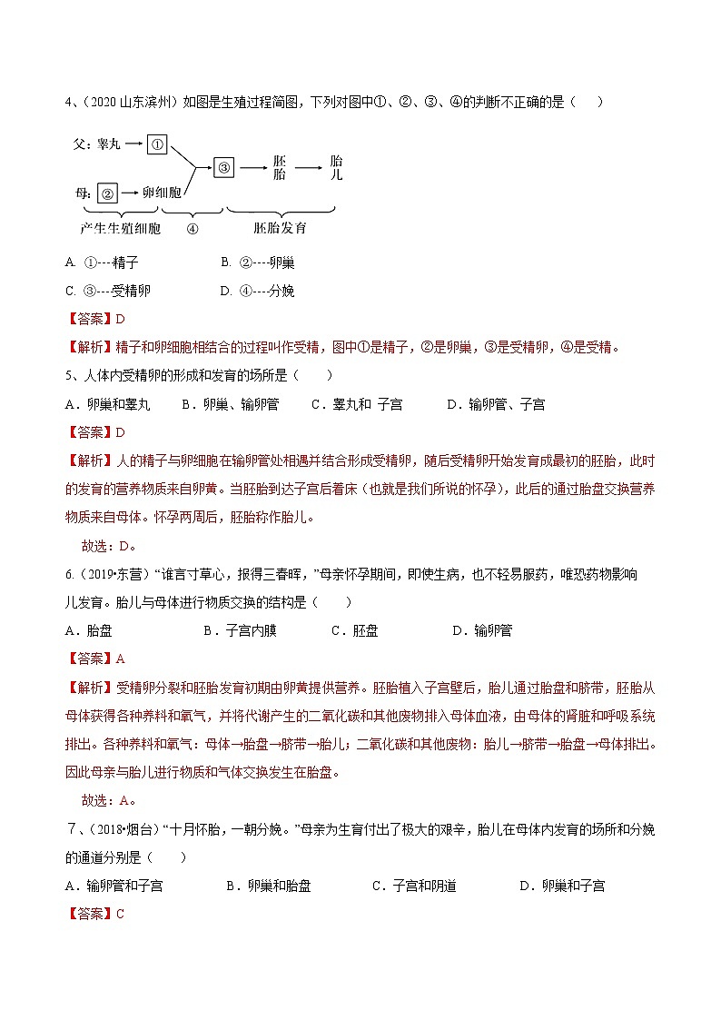 2020-2021学年初中生物鲁科版（五四学制）七年级上册 4.1.2 人的生殖 同步练习第2页