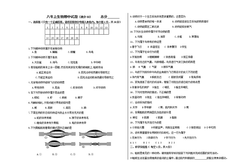 辽宁省营口市老边区2021-2022学年八年级上学期期中考试生物试题（word版 含答案）01