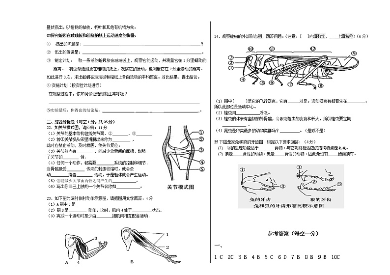 辽宁省营口市老边区2021-2022学年八年级上学期期中考试生物试题（word版 含答案）02