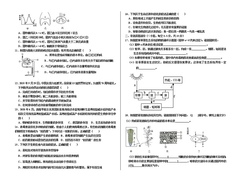 辽宁省盘锦市大洼区2020-2021学年八年级下学期期中质量检测生物试题（word版 含答案）02