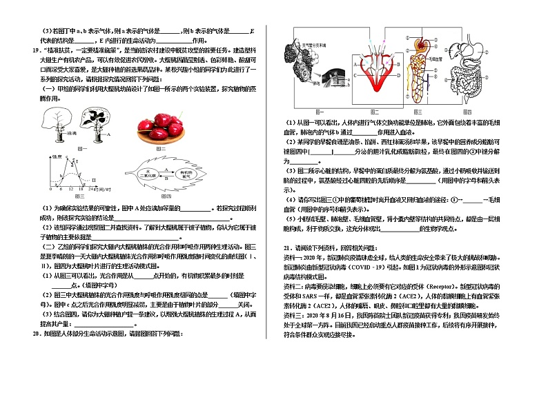 辽宁省盘锦市大洼区2020-2021学年八年级下学期期中质量检测生物试题（word版 含答案）03