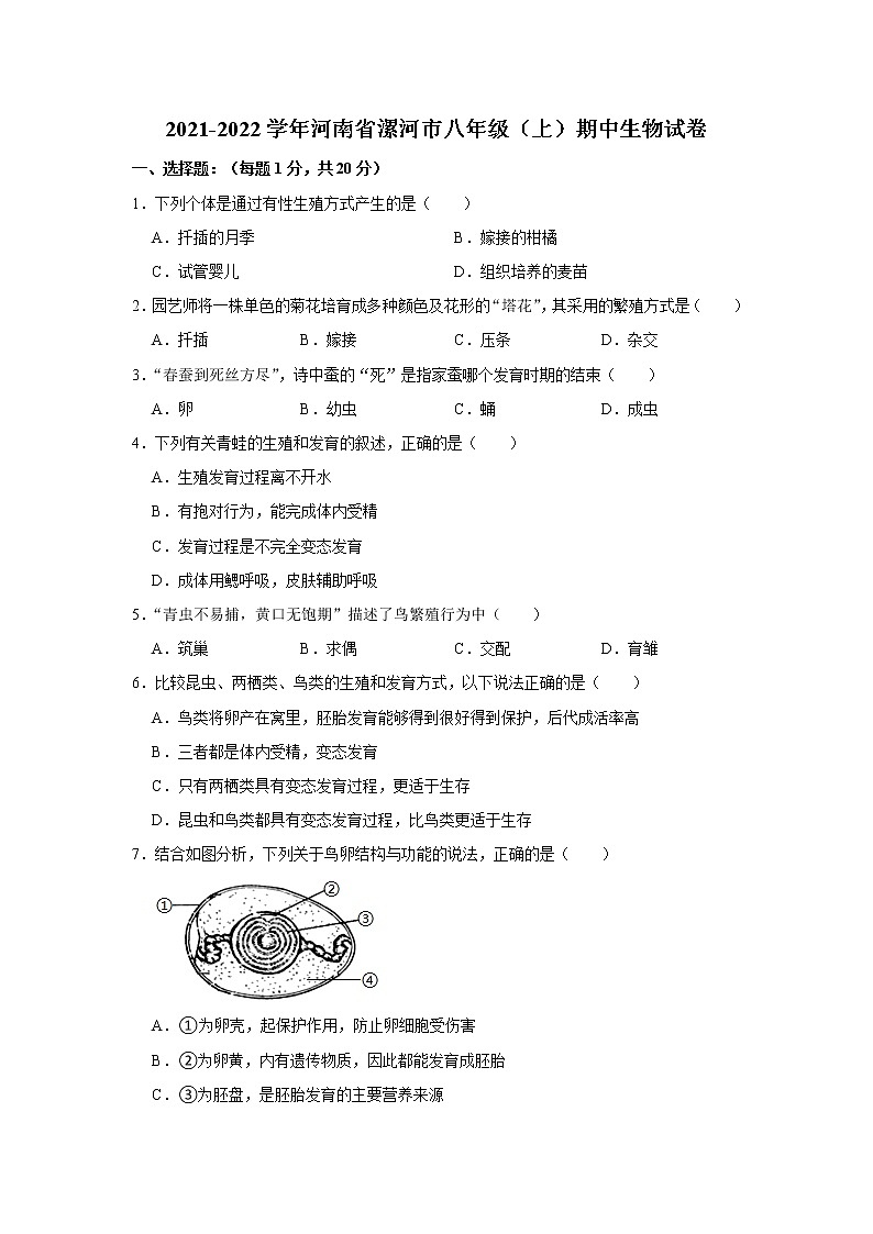 河南省漯河市2021--2022学年八年级上学期期中生物试卷 （word版 含答案）01