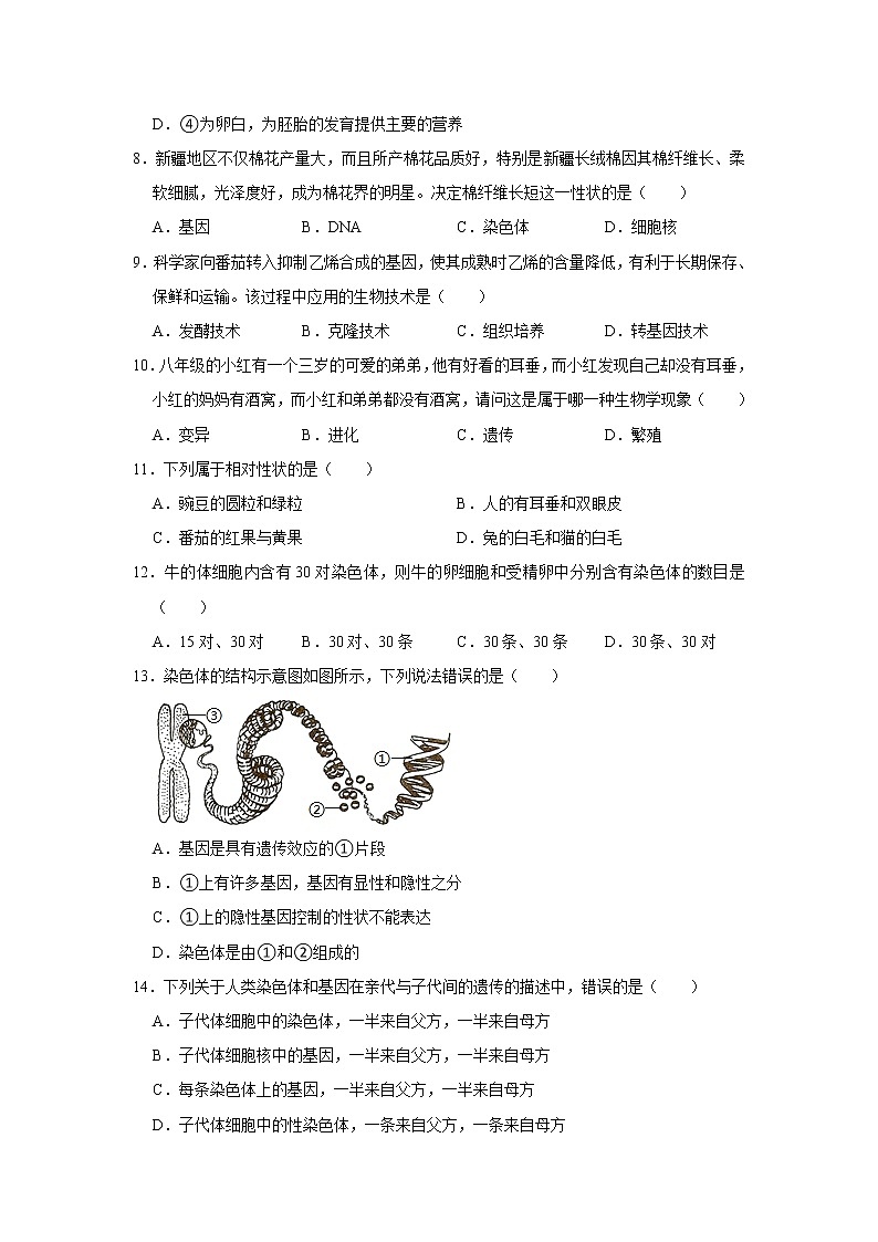河南省漯河市2021--2022学年八年级上学期期中生物试卷 （word版 含答案）02