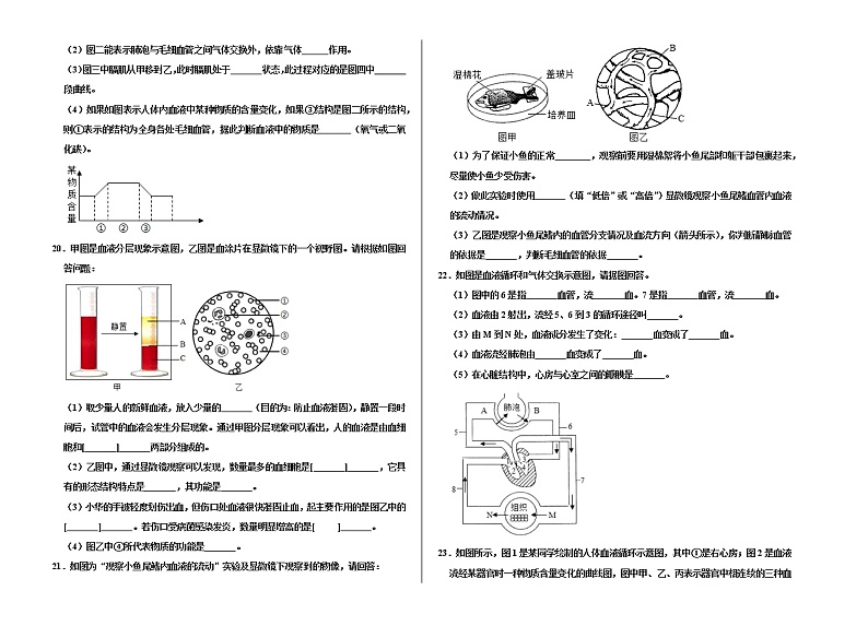 辽宁省盘锦市大洼区2020-2021学年七年级下学期期中质量检测生物试题（word版 含答案）03