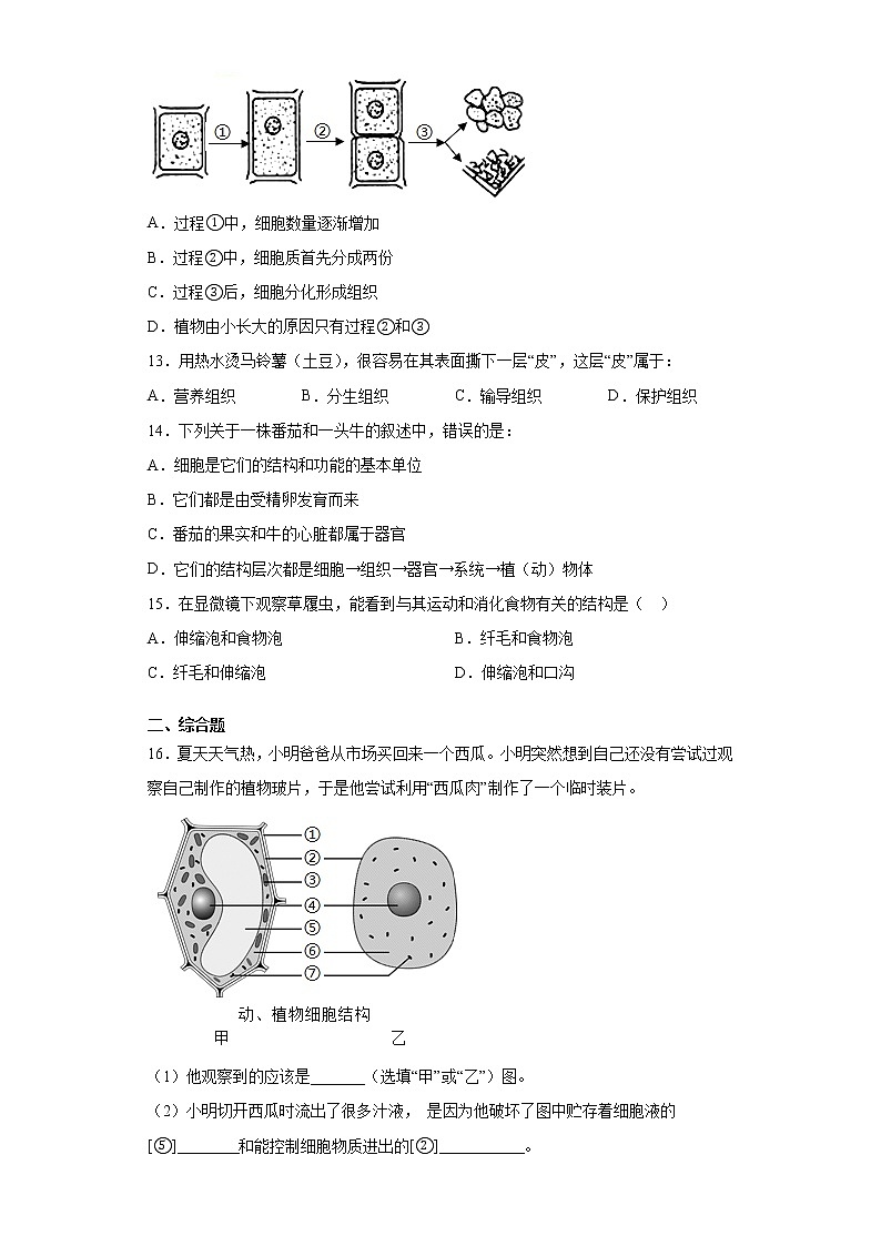 湖北省荆门市沙洋县2021-2022学年七年级上学期期中生物试题（word版 含答案）第3页